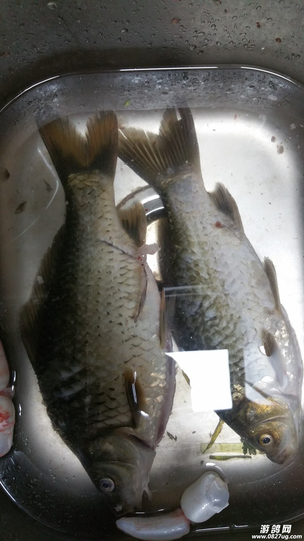 20160404_190912.jpg