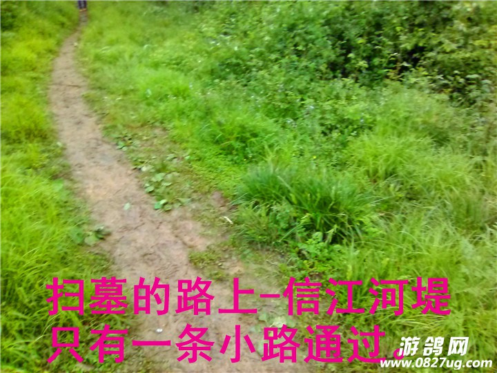 IMG_20160404_092043_副本.jpg