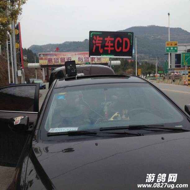 135603dkh8hihh8rrwriw6.JPG
