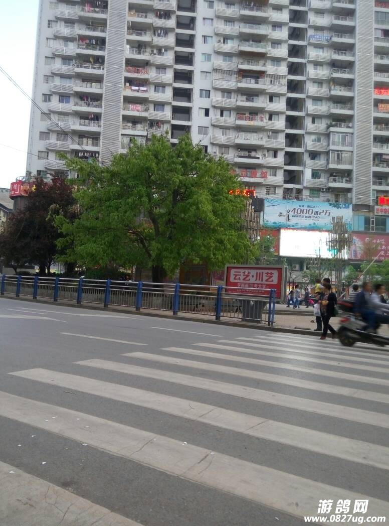 185213b8t3o73tp1771tvu.jpg