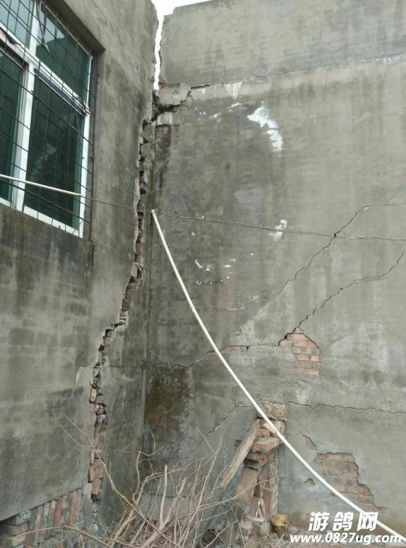 mmexport1458957121785.jpg