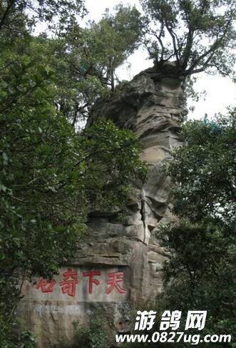 183859yxgj5g5aajn5748e.jpg