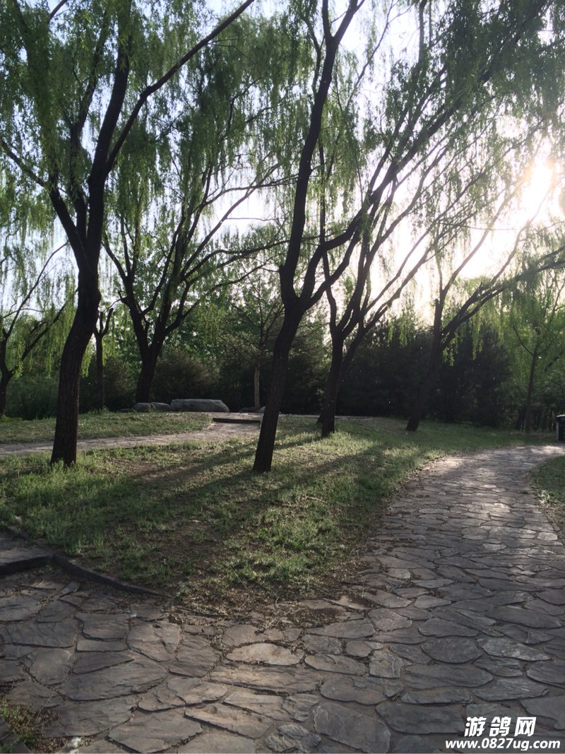 141018tt6dhj3pdv7jtv6d.jpg
