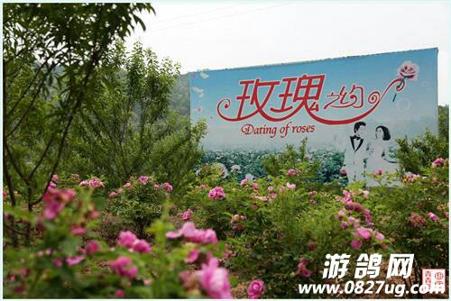 121409ru3ubq0g0sd3b9hq.JPG
