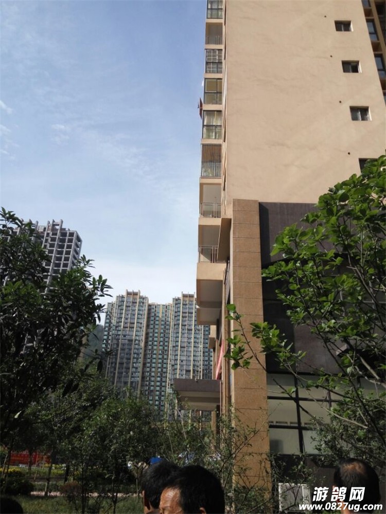 QQ图片20160523090059_副本.jpg
