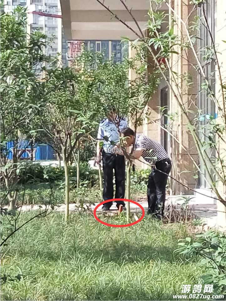 QQ图片20160523093514.png