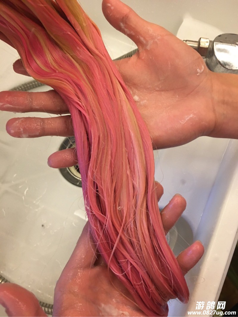 102030k74a5e71745b97z7.jpg