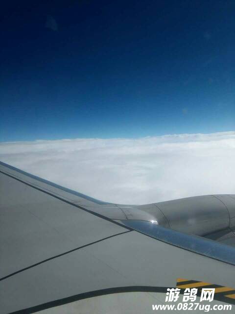 102901iss1nms7i52ncuvy.jpg