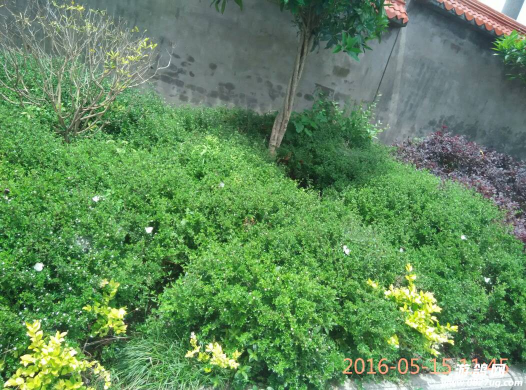 110845t9eygy49bl39llg6.jpg