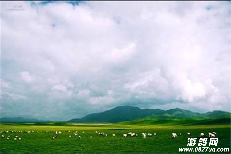 t01e08747f968c4abda.jpg