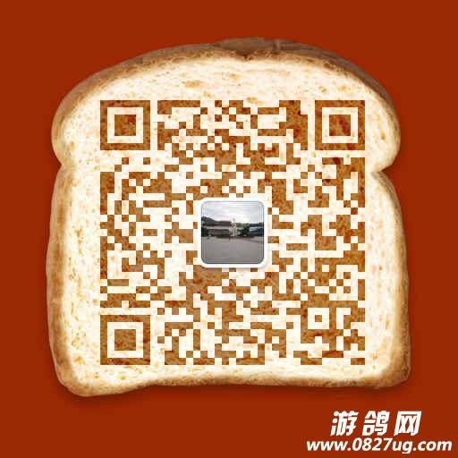 182225e586ys44yyrrro8b.png