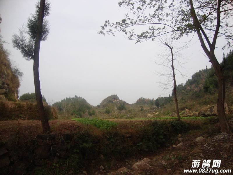 DSC03137.JPG