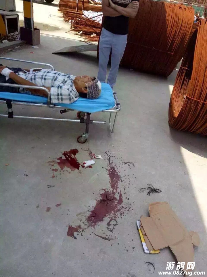 111443sqok7ddo7l71zljd.jpg