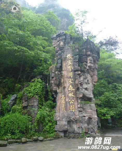森门口.jpg