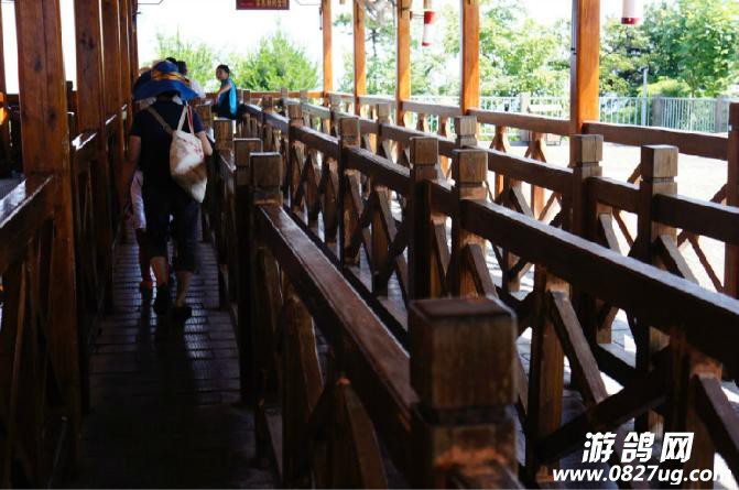 天子山索道下站.jpg