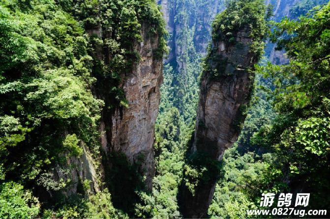 袁家界.jpg