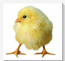 QQ截图20160623102809.png
