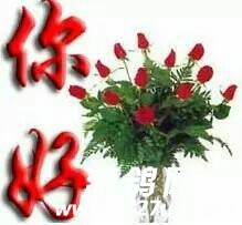 160021v2kdg8dpd8p6d565.jpeg