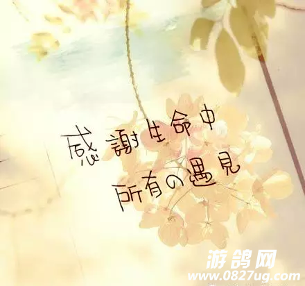 QQͼ20160627161655.png