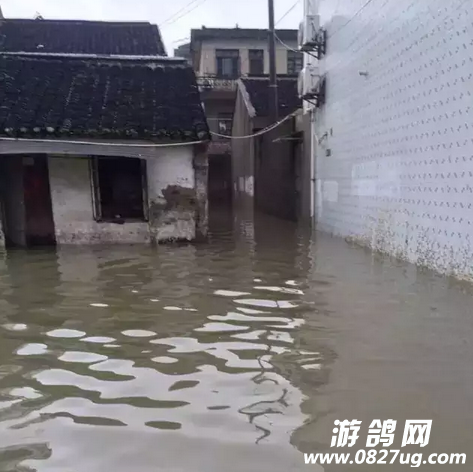 QQ截图20160705112206.png