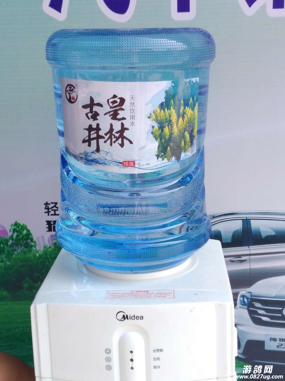 555.jpg
