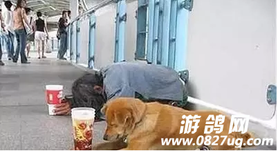 QQͼ20160709142739.png