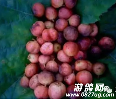QQͼ20160711112212.png