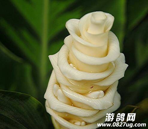 230125fouil6udoldi6i66.jpg