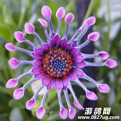 230126o47bp00904u3xipx.jpg