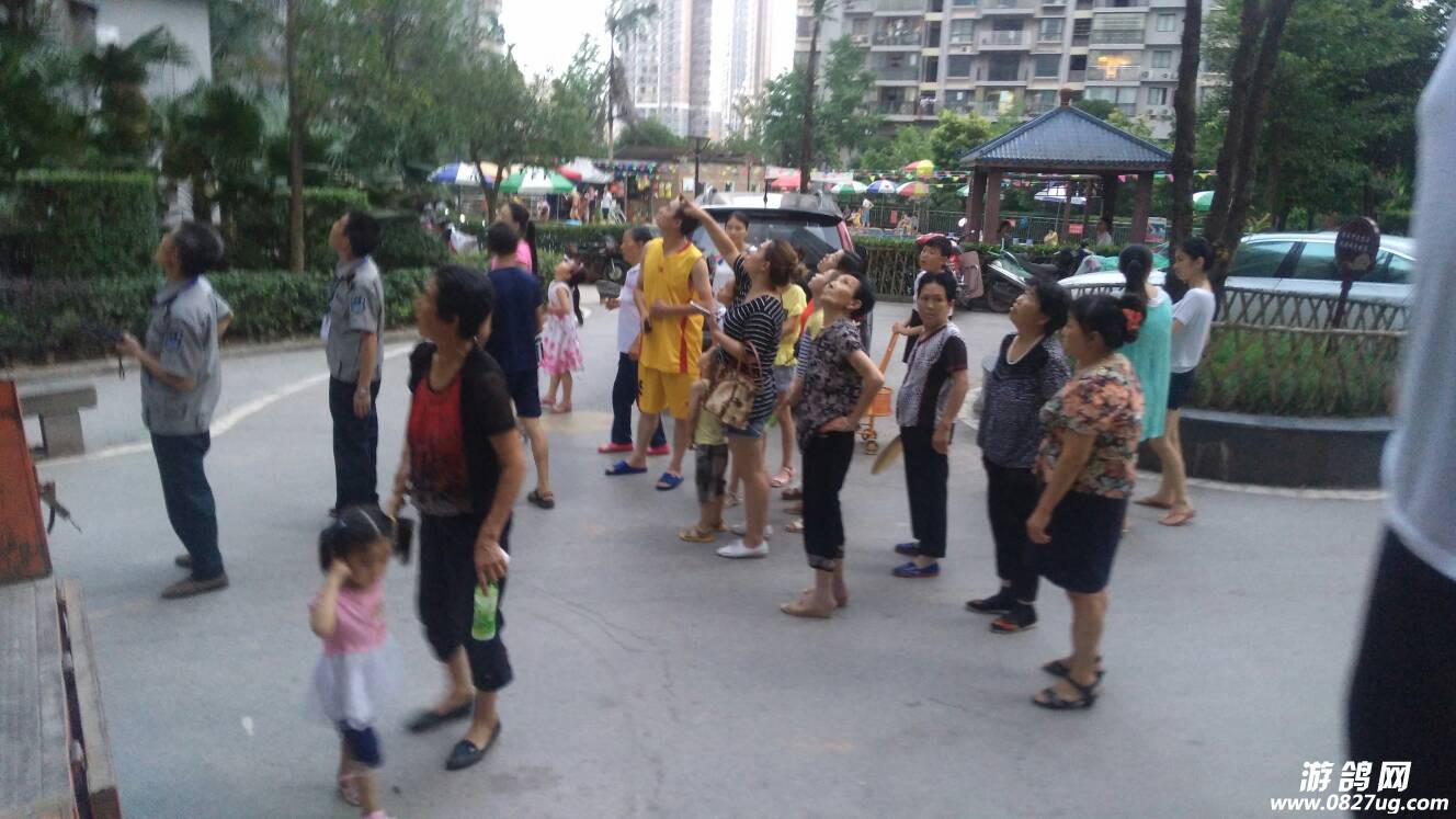 200855hwo9n9in1mp9mooj.jpg