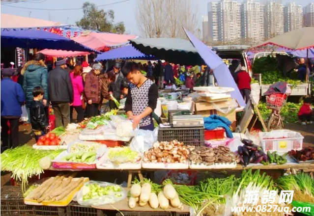 QQ截图20160730094242.png