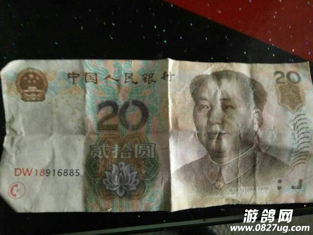 230920gtjjxxltz25kbzv2.jpg