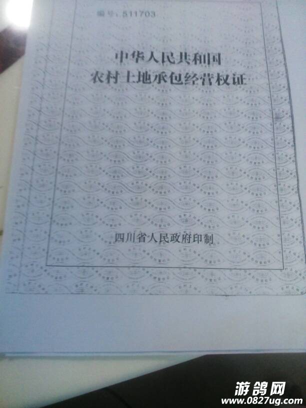 065536a7en3be6e4oz8ope.jpg