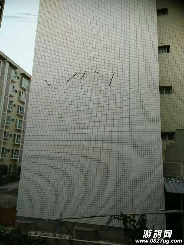 055539y7quuoqoodlf8qzq.jpg