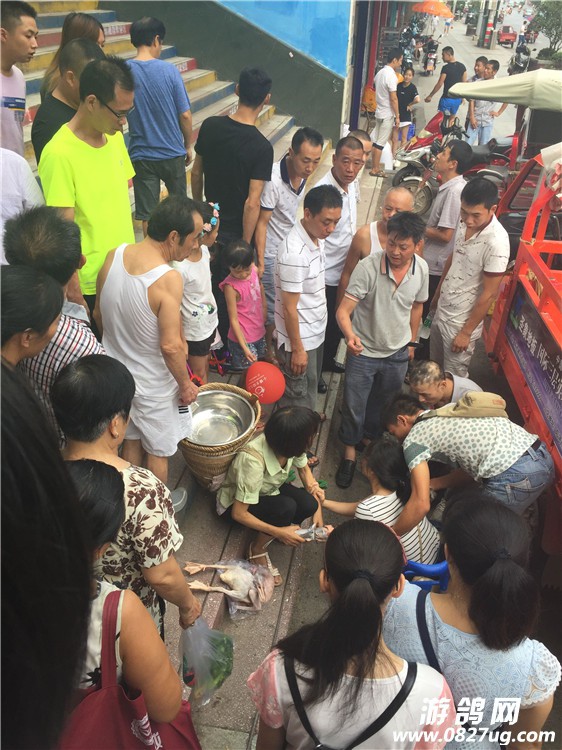 QQ图片20160823155932.jpg