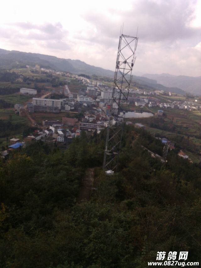 221704bbezmufok8we8ges.jpg