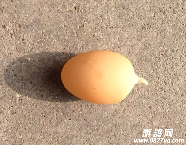 QQ截图20160906100733.png