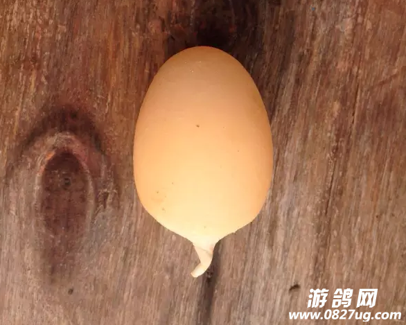 QQ截图20160906100749.png