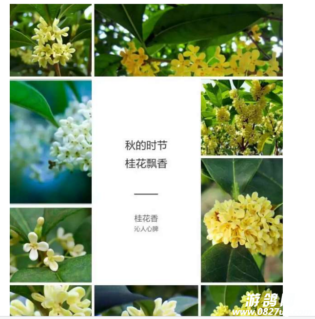 ORQ`RRIVA~[T)WB1$M)(4.png