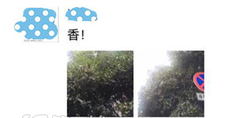 Q55Q3_16}2B43T2D@T]F_EC.png