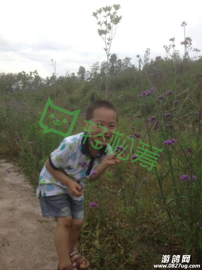 6235758919a04e4a42e4095199dc537854de2961h5.jpg@!love.jpg