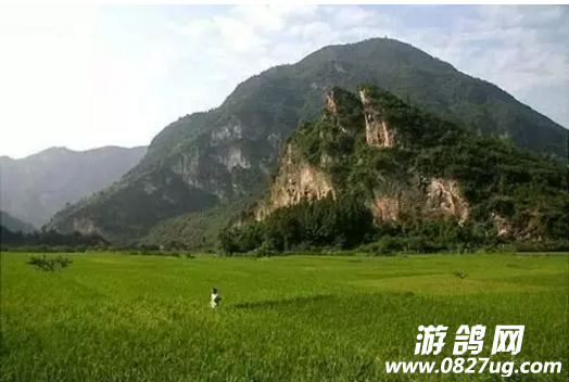 QQ截图20160910091959.png