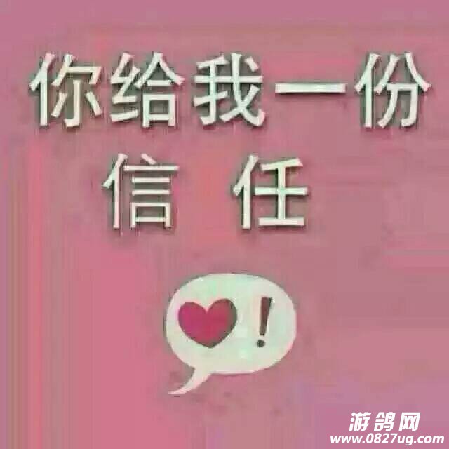 131057xrornew49evi3ieg.jpeg