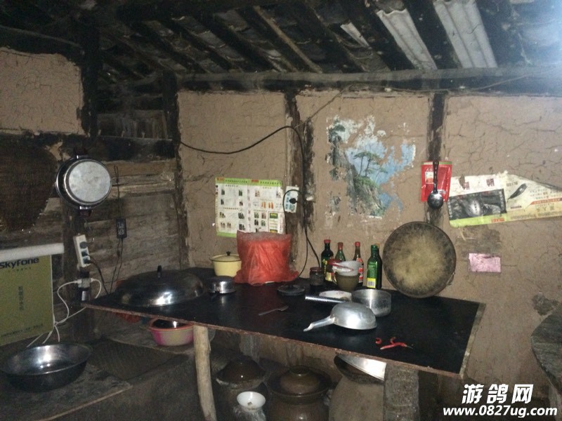 101333dk5968bpab8986z9.jpg