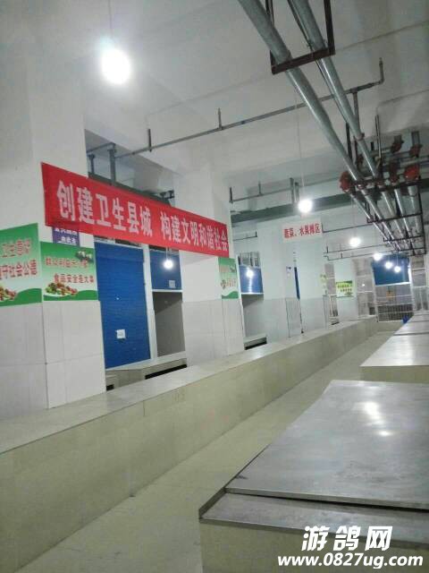 214557lky8bxp9xp66zcnc.jpg