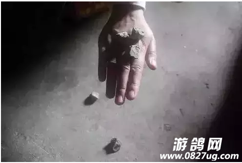 QQͼ20160920101416.png