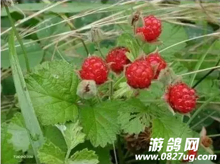QQͼ20160920113138.png