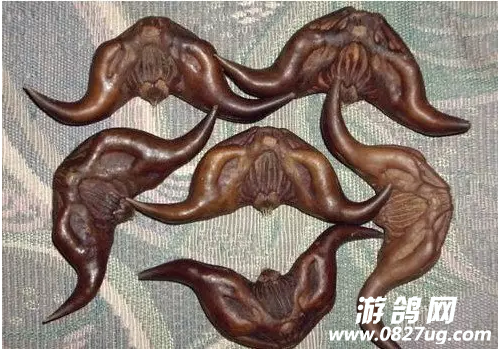 QQͼ20160920113458.png
