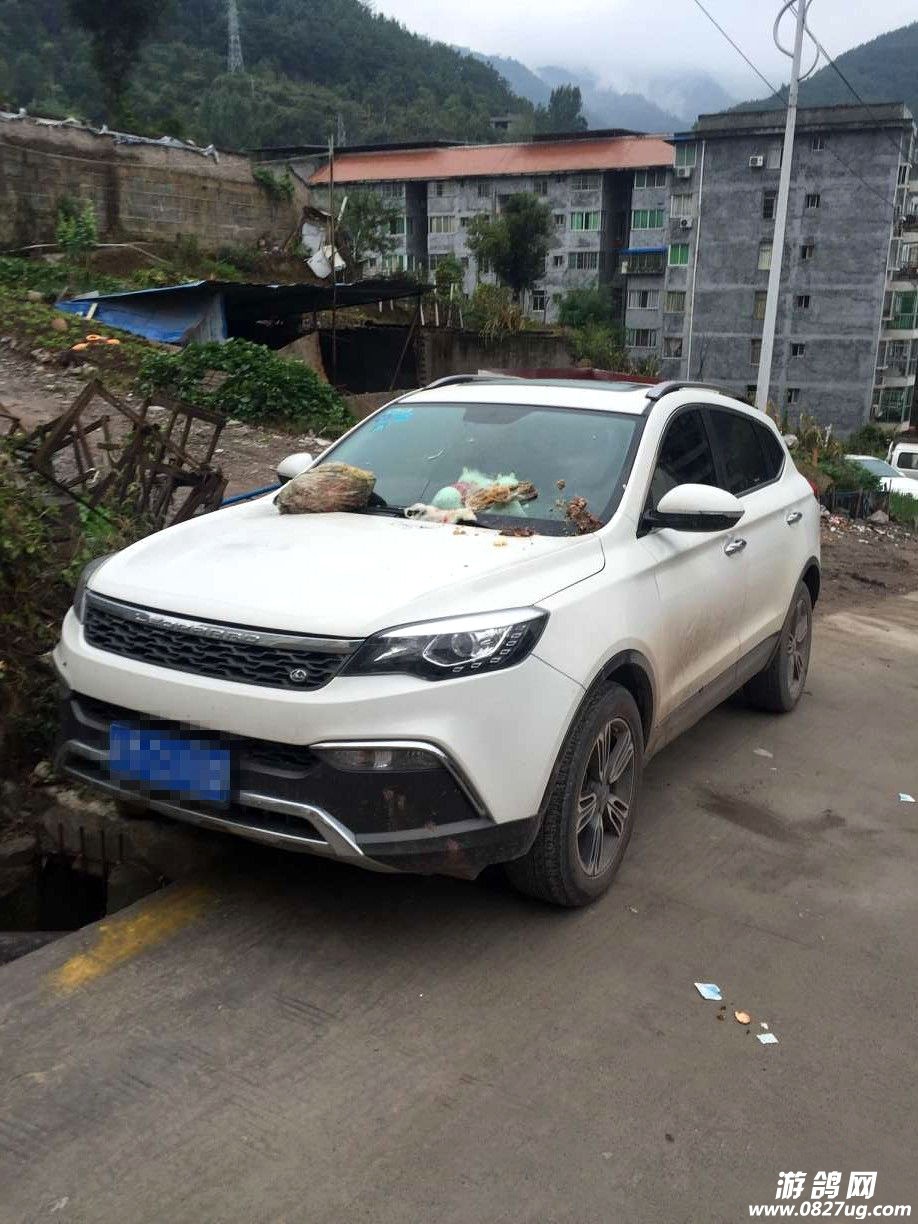 140226ry1pvqaqa11j2qyv.jpg