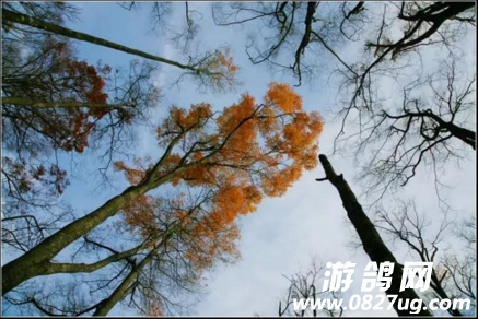 QQͼ20160928095314.png